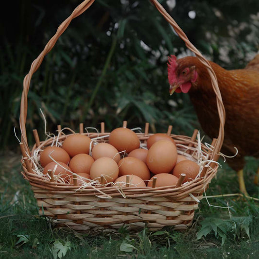 Huevos de campo caja de 150