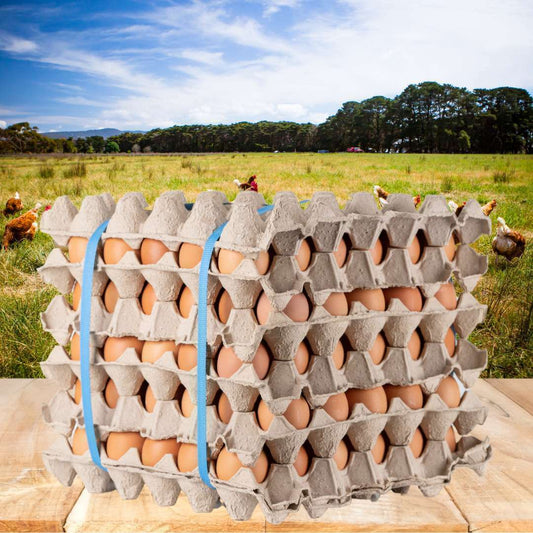 Huevos de campo caja de 150