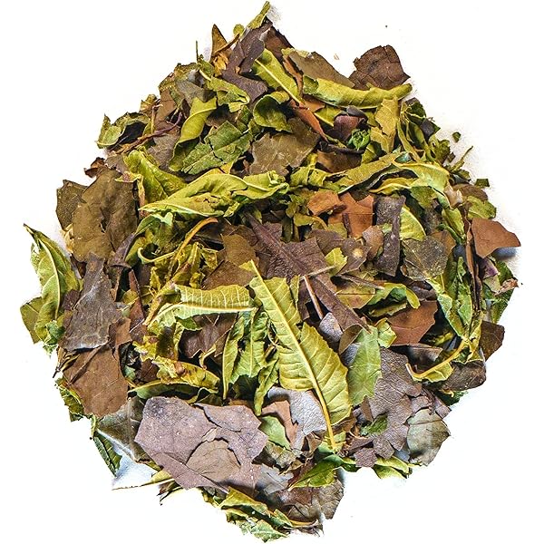 Té 7 Hierbas