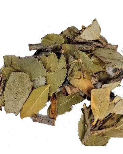 Guayo